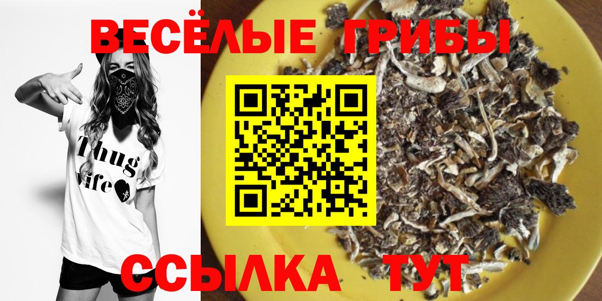Галлюциногенные грибы Psilocybine cubensis Острогожск