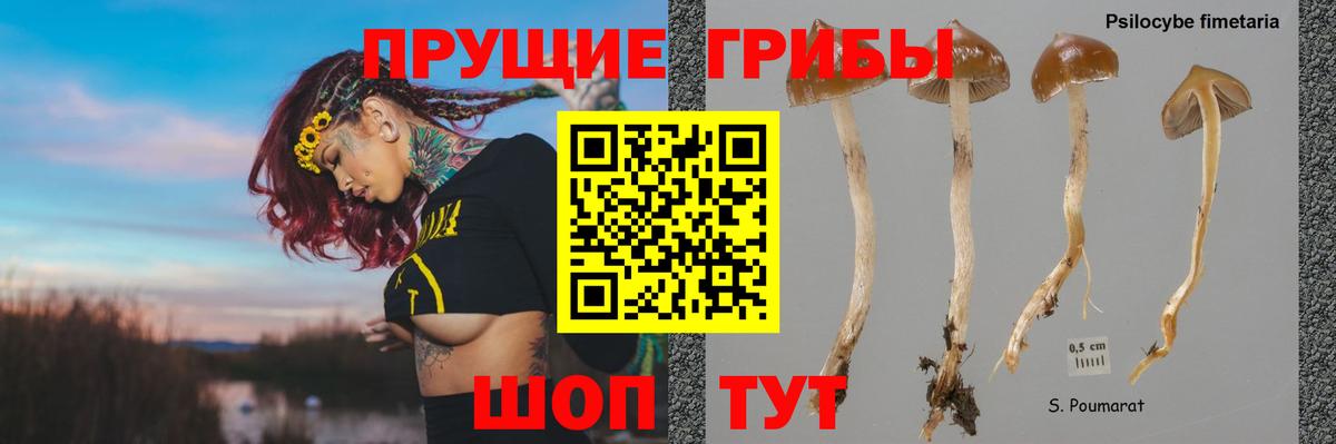 Псилоцибиновые грибы Psilocybe  Вход с VPN  Острогожск  Галлюциногенные грибы Cubensis 